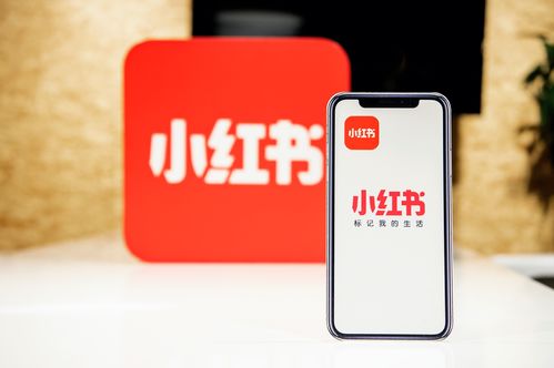 小紅書創(chuàng)作者中心上線，為優(yōu)質(zhì)創(chuàng)作者帶來專業(yè)成長(zhǎng)新機(jī)遇